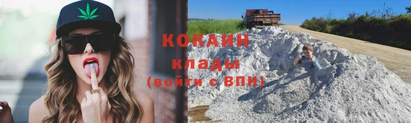 прущие грибы Ахтубинск