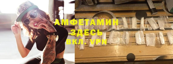 крисы Новозыбков
