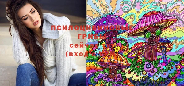 крисы Бабаево
