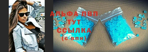 крисы Новозыбков