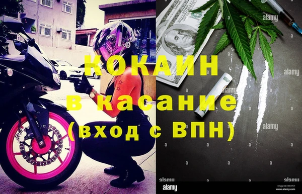 ПСИЛОЦИБИНОВЫЕ ГРИБЫ Няндома