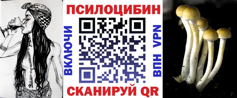Галлюциногенные грибы мицелий  купить наркотики сайты  Мамадыш 